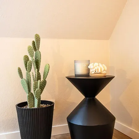 Stylische Penthouse - Maisonette - Im Edlem Design Mit Balkon, Dachterrasse Und Kostenloser Tiefgarage Im Herzen Von - Neuseenland *
